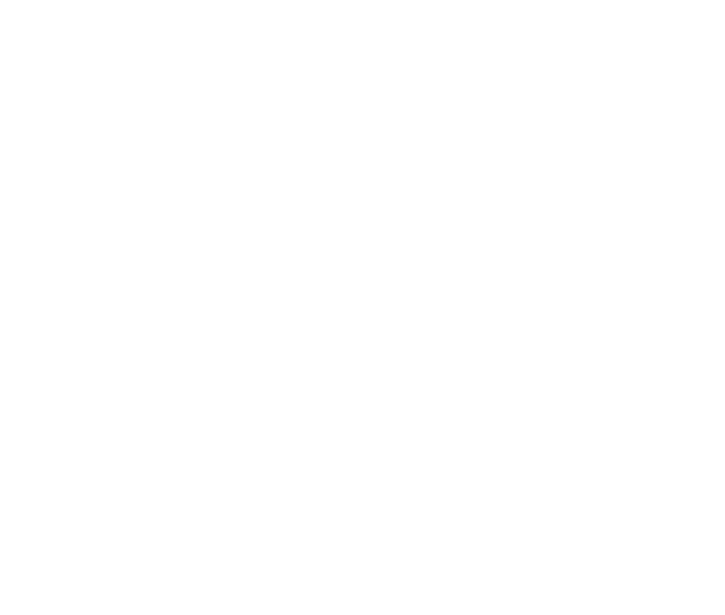 Go Sport